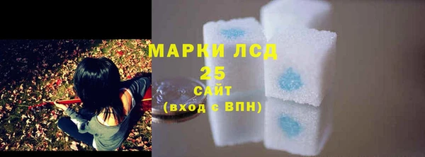 ГАЛЛЮЦИНОГЕННЫЕ ГРИБЫ Алексин